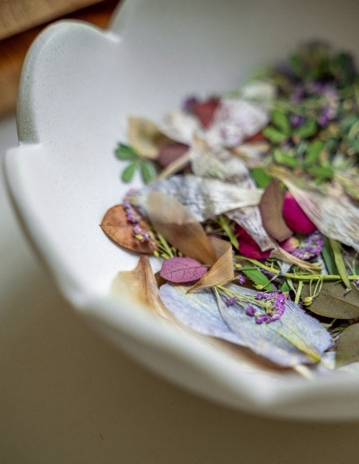 Paintings with Pressed Flowers