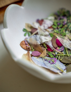 Paintings with Pressed Flowers