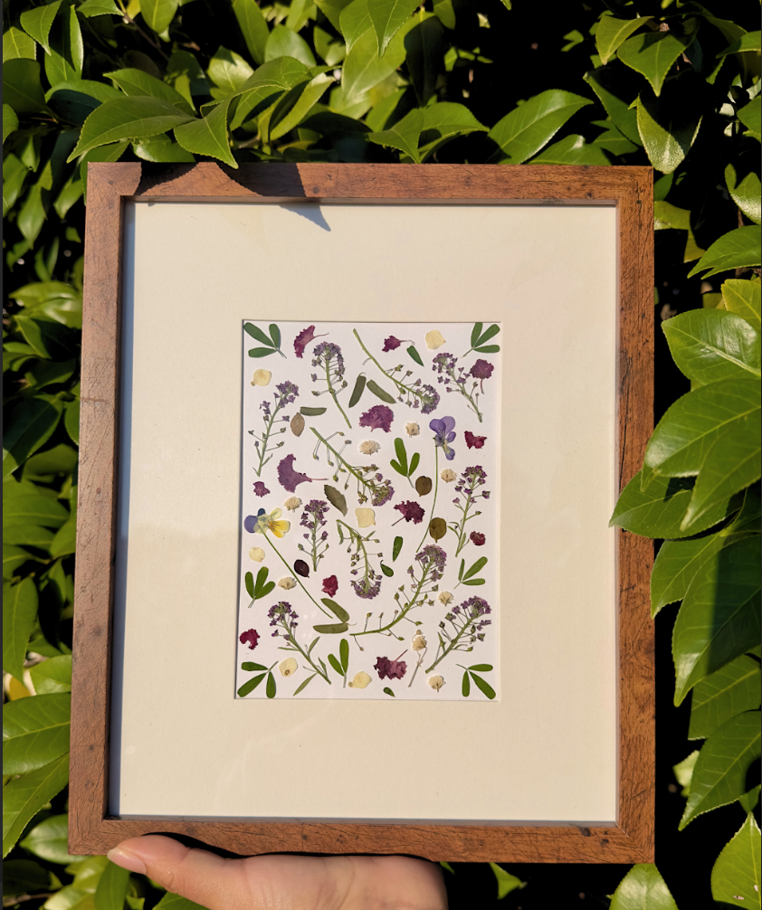 Paintings with Pressed Flowers